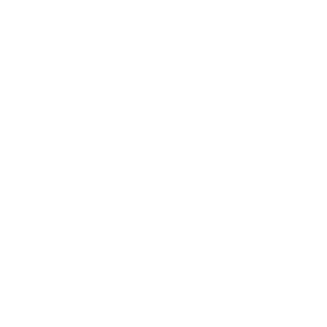 shield shield